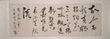 鷨